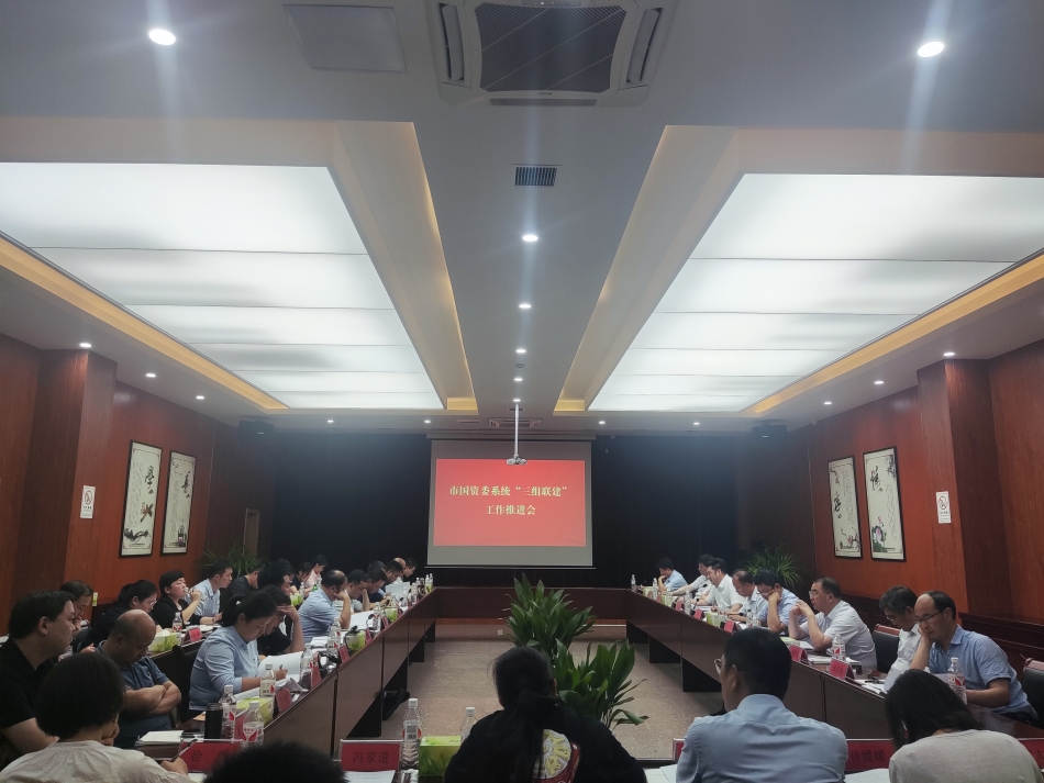 2024年7月17日，市國(guó)資委系統(tǒng)在公司開展“三組聯(lián)建”現(xiàn)場(chǎng)觀摩（推進(jìn)會(huì)）_副本